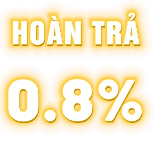 Hoàn trả 0.8%