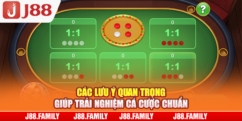 Các lưu ý quan trọng giúp trải nghiệm cá cược chuẩn