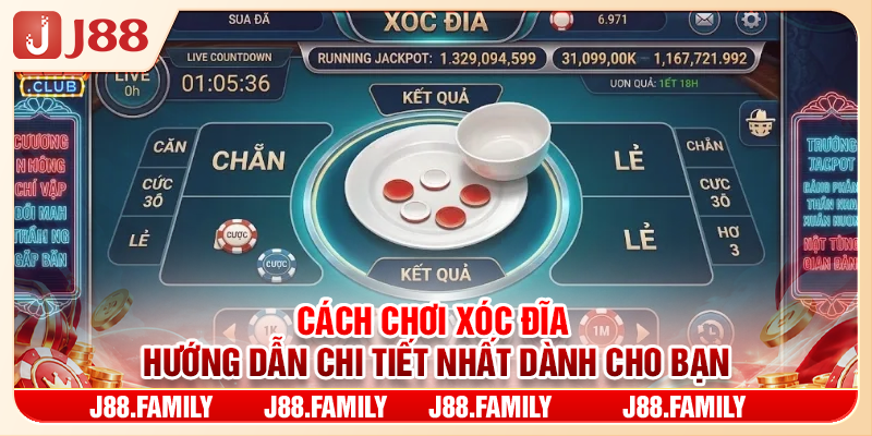 Cách Chơi Xóc Đĩa - Hướng Dẫn Chi Tiết Nhất Dành Cho Bạn