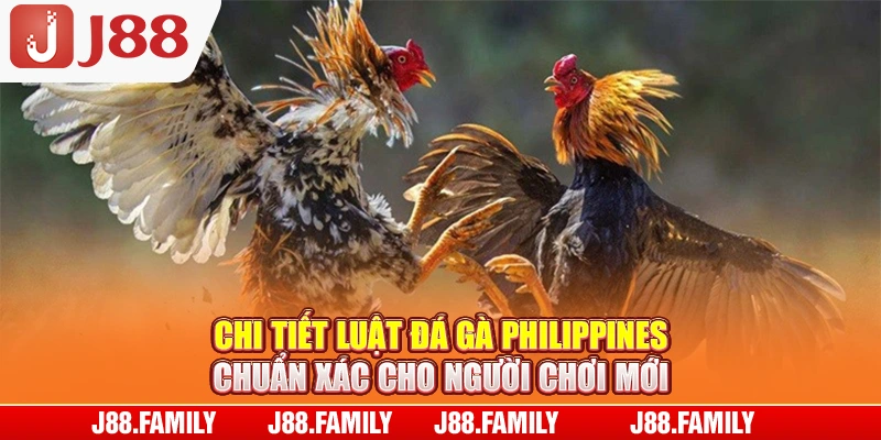 Chi tiết luật đá gà philippines chuẩn xác cho người chơi mới