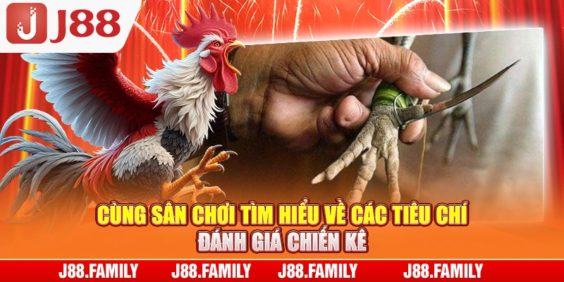 Cùng sân chơi tìm hiểu về các tiêu chí đánh giá chiến kê