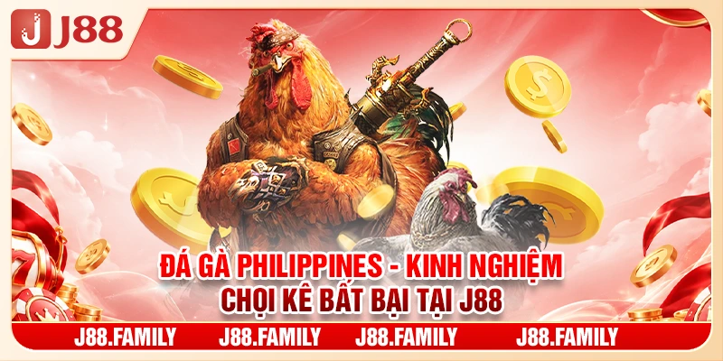 Đá Gà Philippines - Kinh Nghiệm Chọi Kê Bất Bại Tại J88
