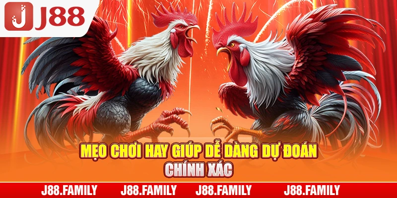 Mẹo chơi hay giúp dễ dàng dự đoán chính xác