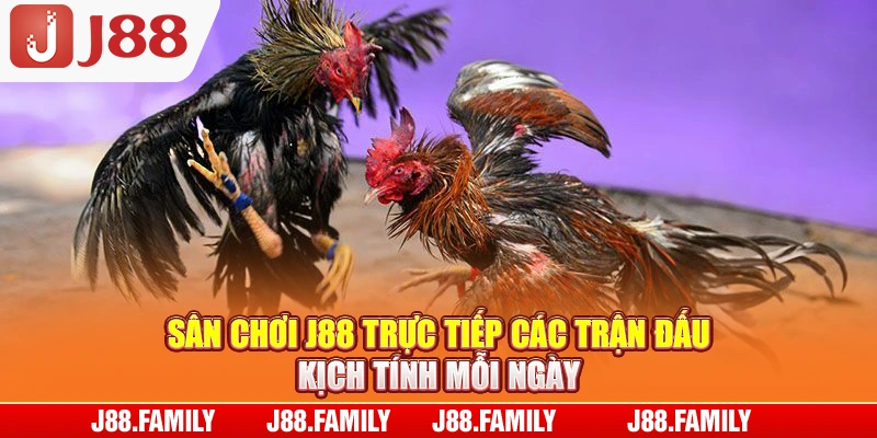 Sân chơi J88 trực tiếp các trận đấu kịch tính mỗi ngày
