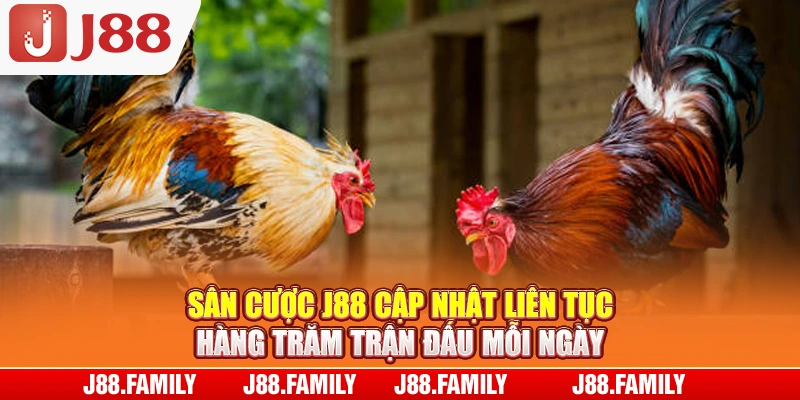 Sân cược J88 cập nhật liên tục hàng trăm trận đấu mỗi ngày