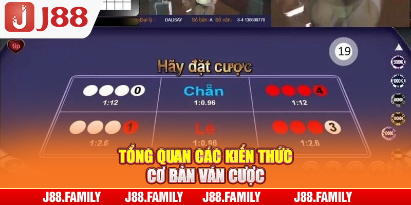 Tổng quan các kiến thức cơ bản ván cược
