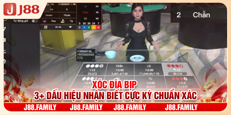 Xóc Đĩa Bịp - 3+ Dấu Hiệu Nhận Biết Cực Kỳ Chuẩn Xác